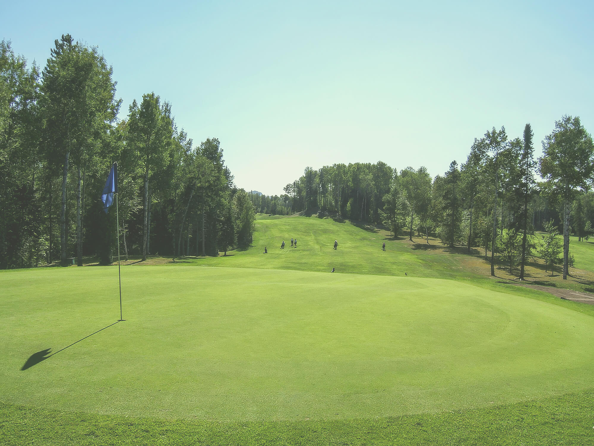 Terrain de golf verdoyant au Club Val-Neigette à Rimouski, bordé d’arbres