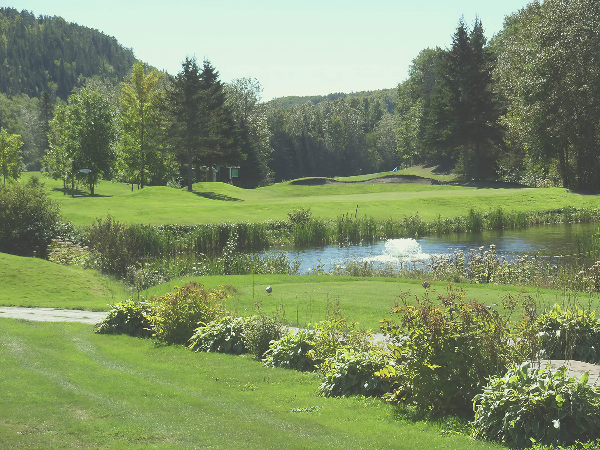 Trou d’eau sur le parcours du Golf Val-Neigette à Rimouski – nature et tranquillité